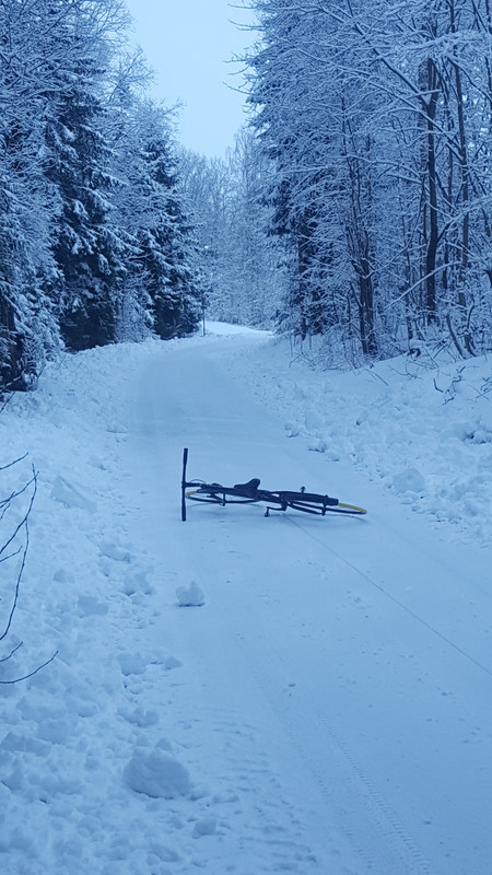 [Linket bilde fra i.postimg.cc]