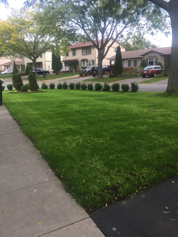 E0A02985-23D6-45AC-AE4D-B5E8F29B8698