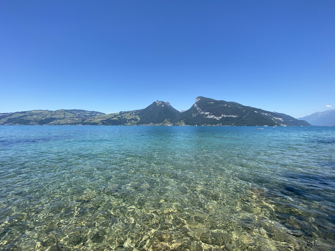 3651133E-A0A0-4D24-8065-F8CB1C494E5E