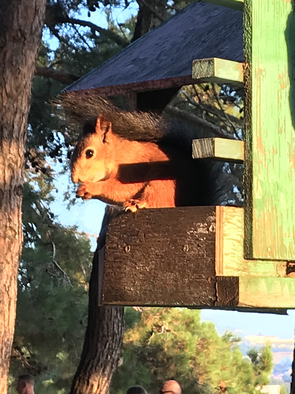 EB2A5456-62A9-4CBC-BFE3-63D75F08288E