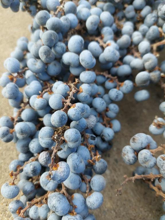 5fd099b3 f427 4051 8e6d a5ecfcda4e6d