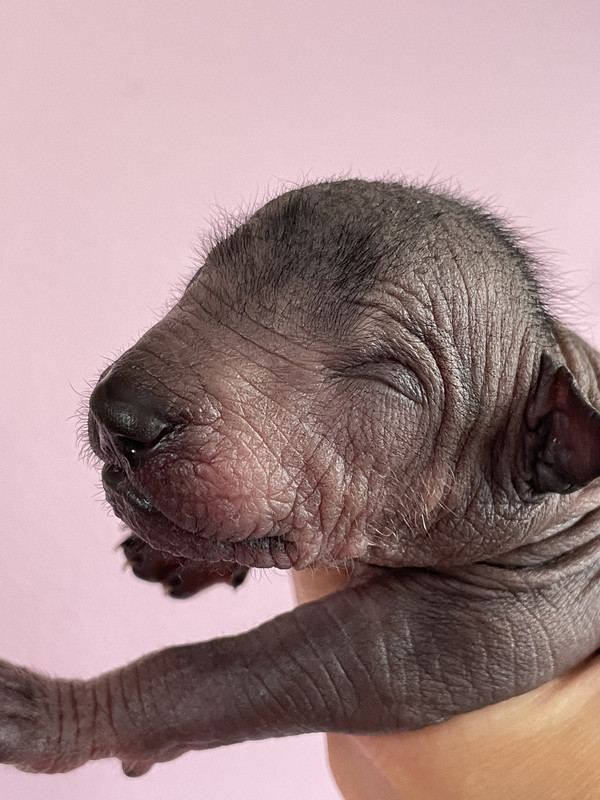 A899F179-91DB-4173-B8D4-7AB3C2DA2044