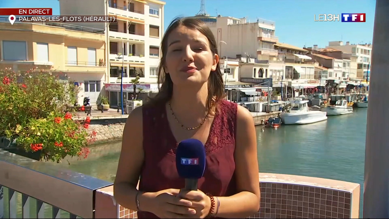 2020-09-02_13_00_TF1_Le-13h.mp4_snapshot_00.23.50.651