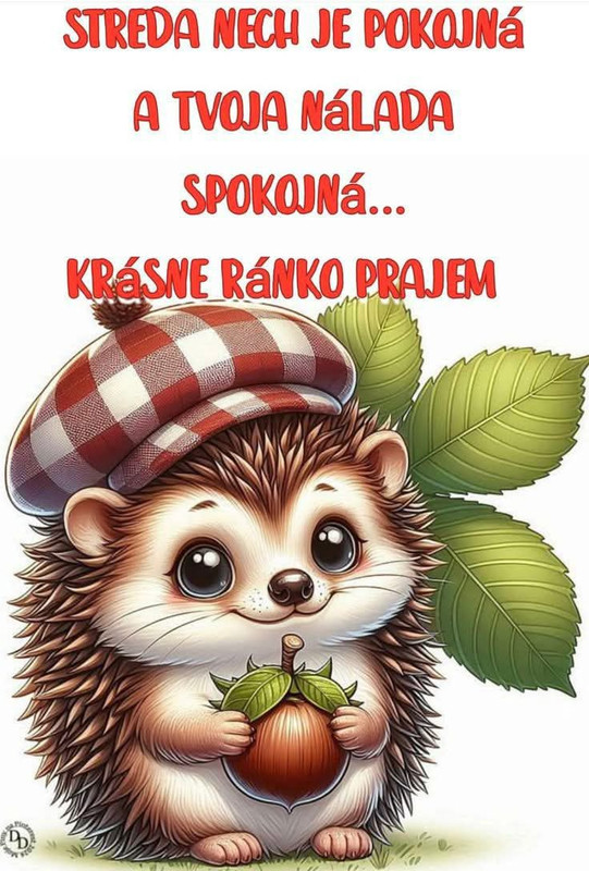 585198938 809732168626168 634124472332217981 n