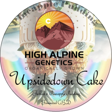 Upsidedown Cake strain