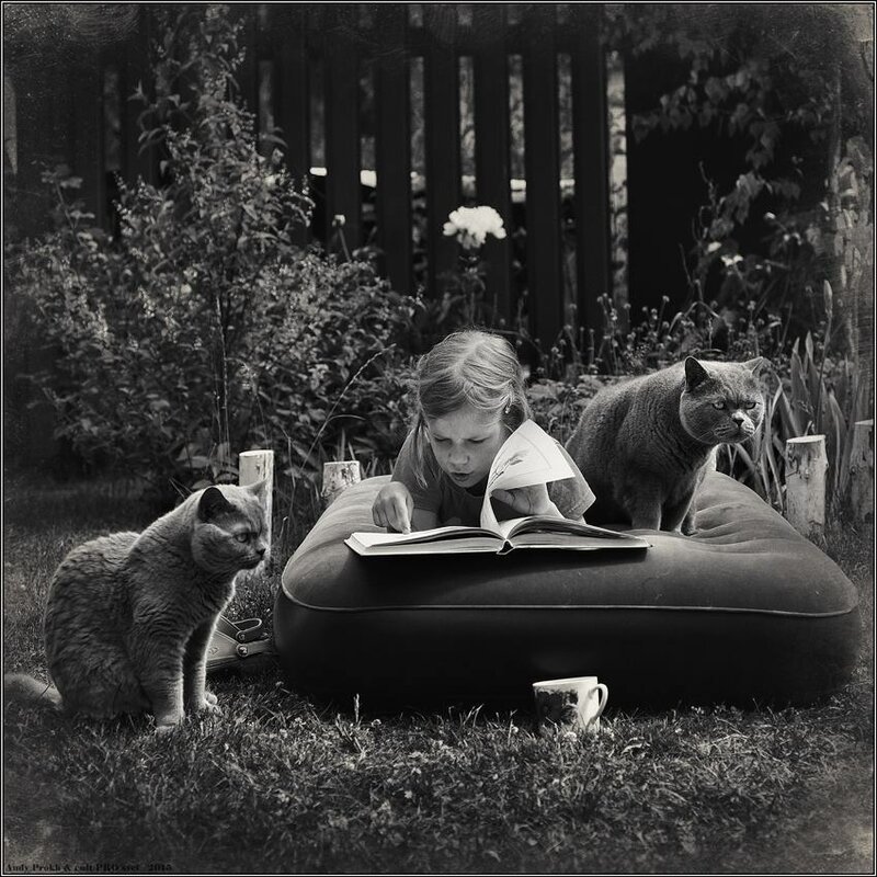 11168522-842195249179901-6955710456479422208-n