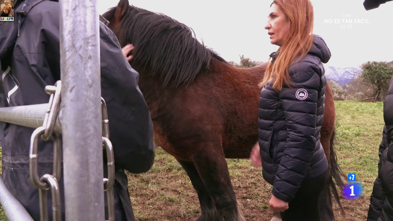 milaopayoculazomallas_oso4 (4)