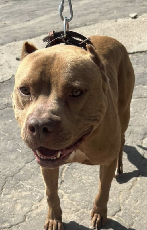 Снимок экрана 2024-04-30 в 23.00.43