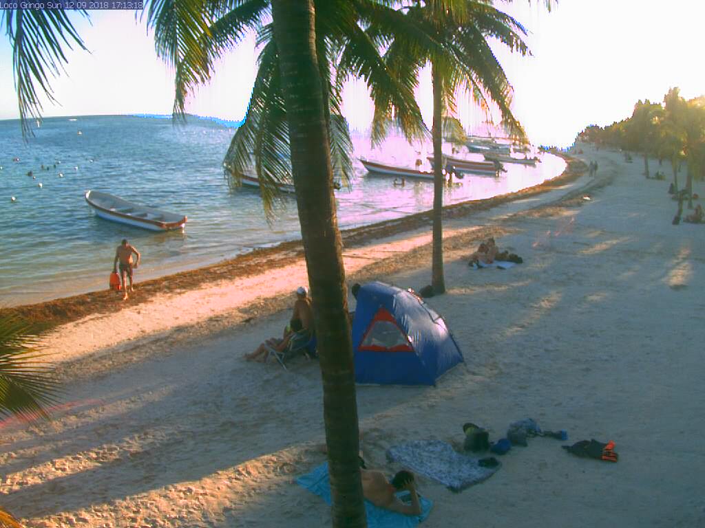 Playas sin Algas en Riviera Maya (Sargazo) - Foro Riviera Maya y Caribe Mexicano