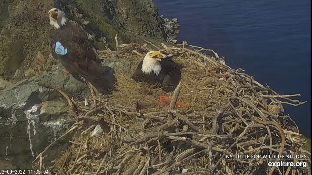 8CF3AE11-1810-473D-AEA7-132F8BAAC125