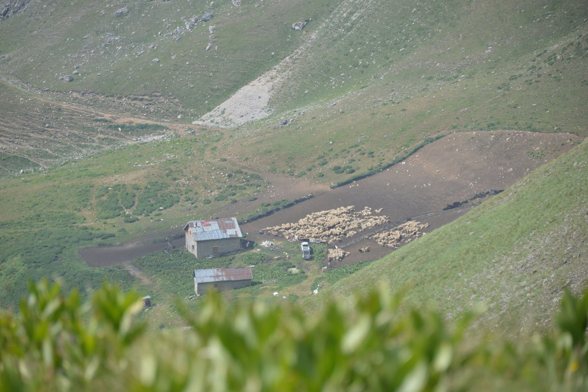 DSC-9467.jpg