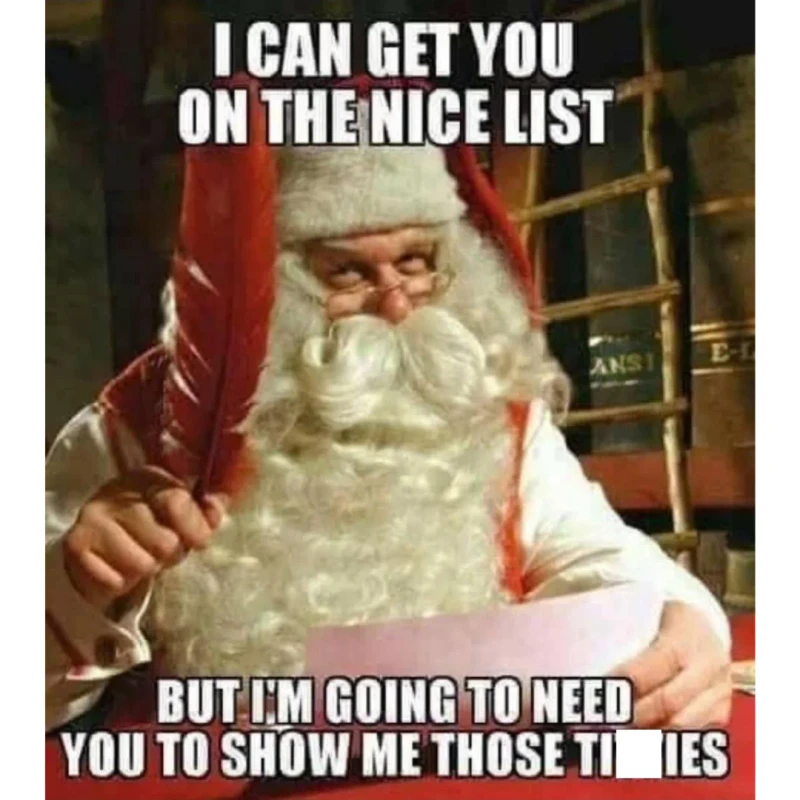 Santas nice list