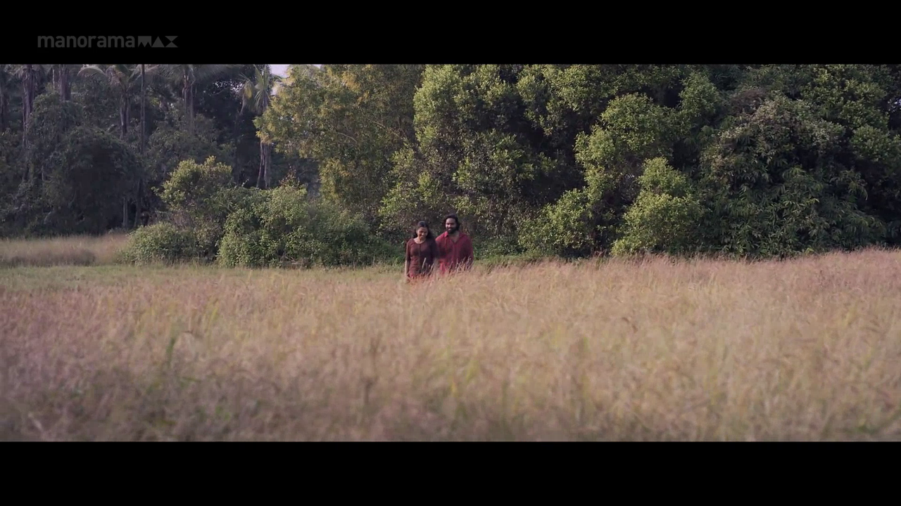 vlcsnap 2026 02 06 18h00m16s158