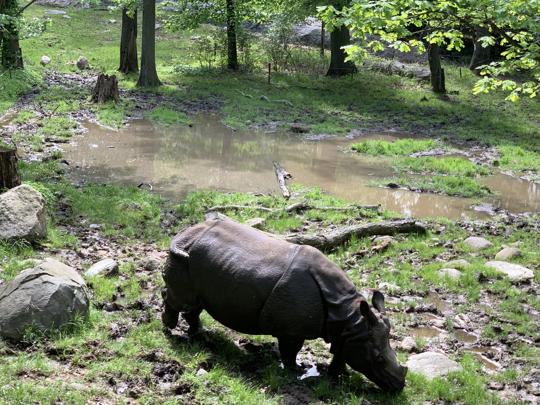 470E3DE3-0E32-4CD9-9A0A-31EC52ED3717