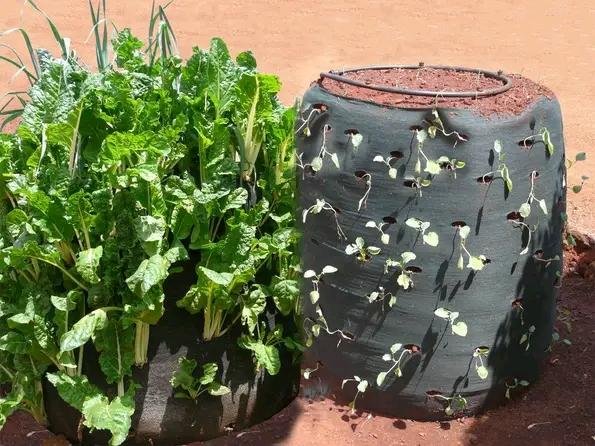 Vertical Grow Bags