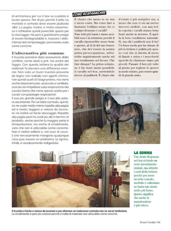 Il Mio Cav (Giu 2023) 8