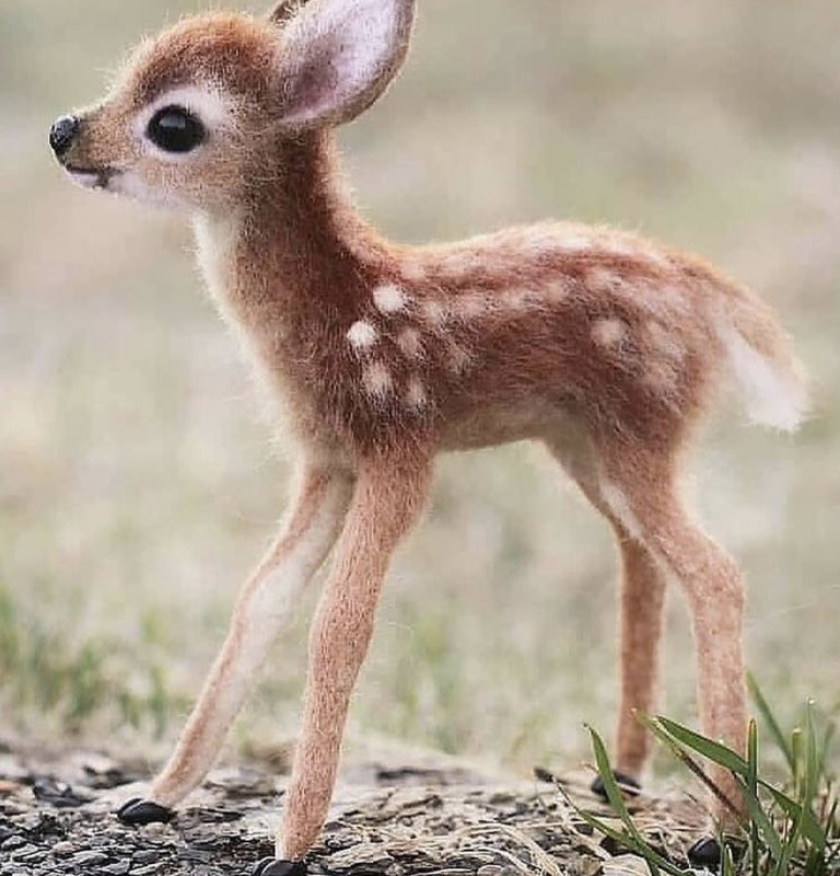 5BBFCDF9-718E-46B1-9D4E-CCE0A5D39EC7