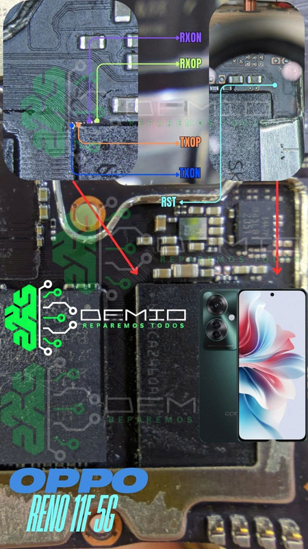 photo_2025-09-01_18-22-22