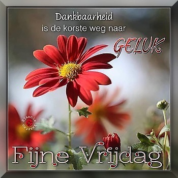 85.jpg