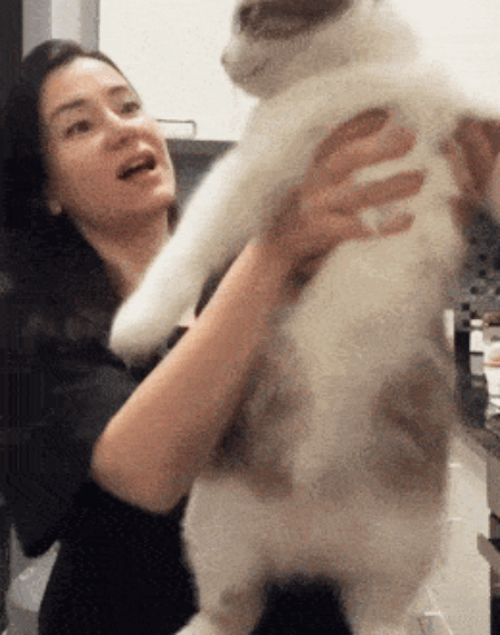 559.gif