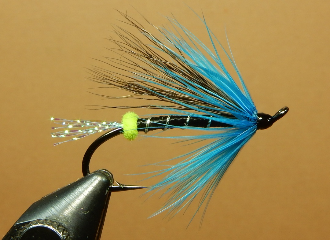 Blue-Screamer-1080.jpg