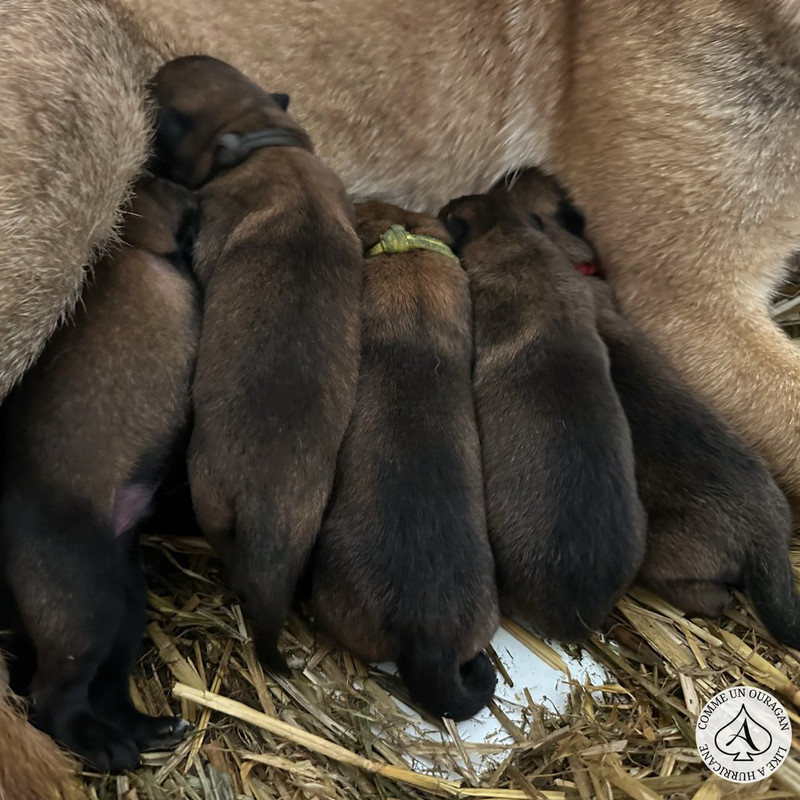 EC21B6A2-8D3A-43D7-9F63-606CE11EE503