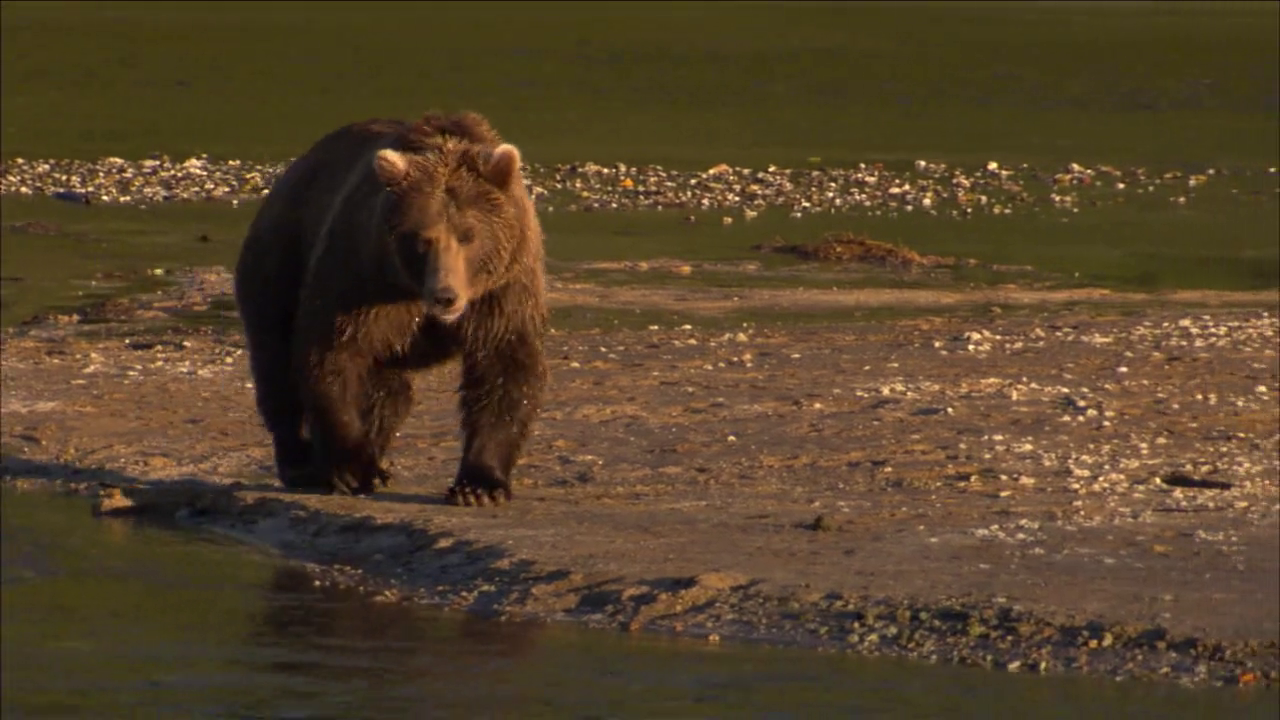 300mbunited.me--00008