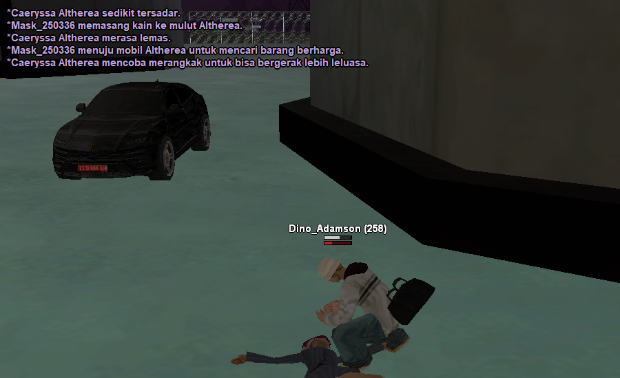 SS-an-cae-9.png