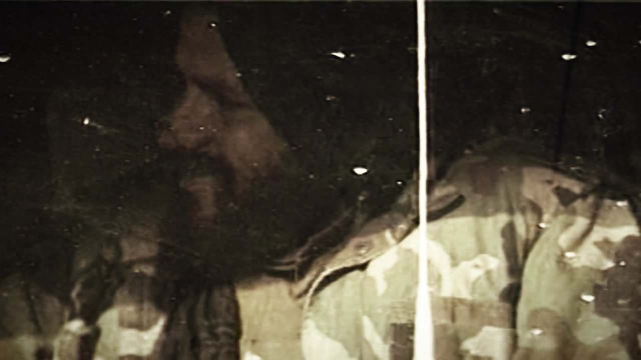 vlcsnap-2023-09-12-10h20m51s297