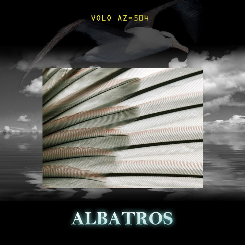 Albatros - Volo AZ-504 [Album] (2015) .FLAC