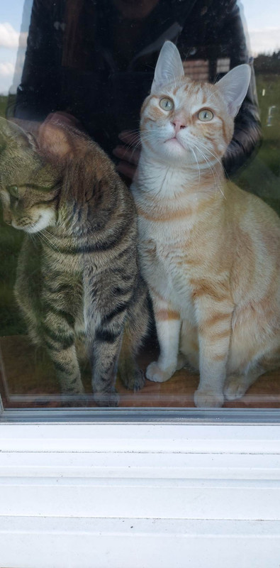 received_1257161668301058