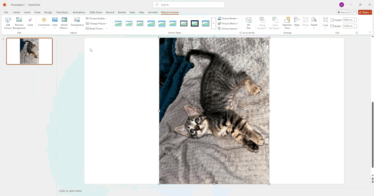 Access AI Editor