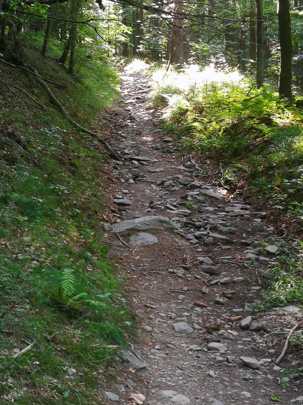 IMG-20220719-WA0003