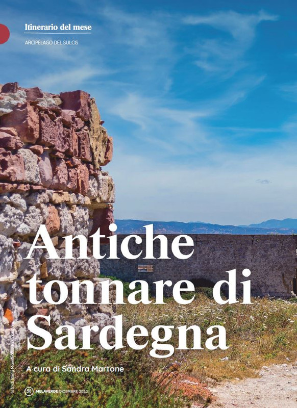 melaverde Dic 2022 (5)