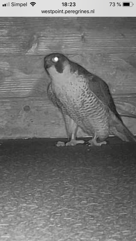 0CE63DAF-ED72-4CC5-A2EA-275617EF5A8B