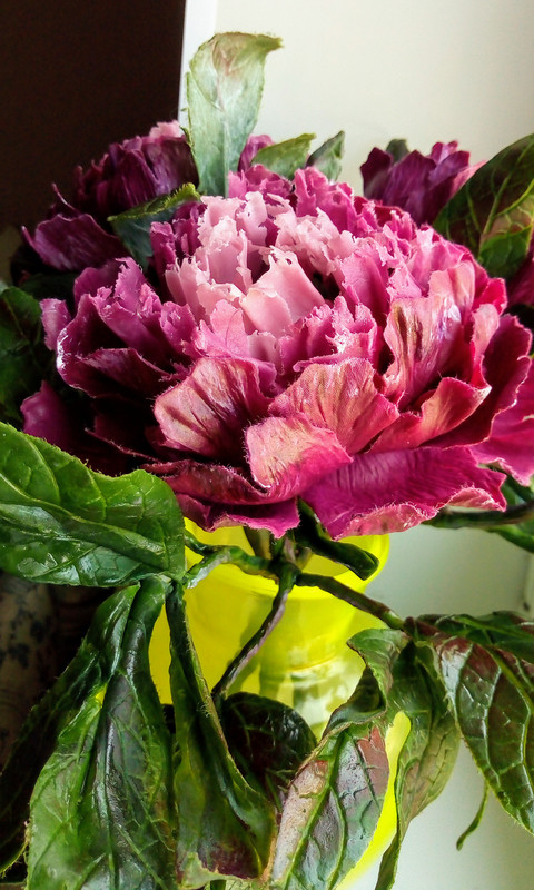 IMG_20180713_140220937