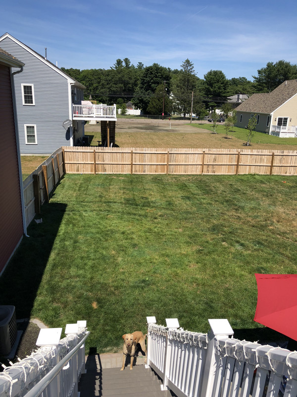 2CD48AEA-587E-48CF-972A-45A05A0A1CC7