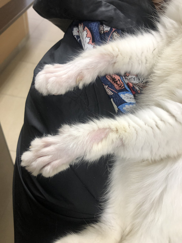 2A0FF7F0-74D9-4611-8C14-3C80C6DF73FA