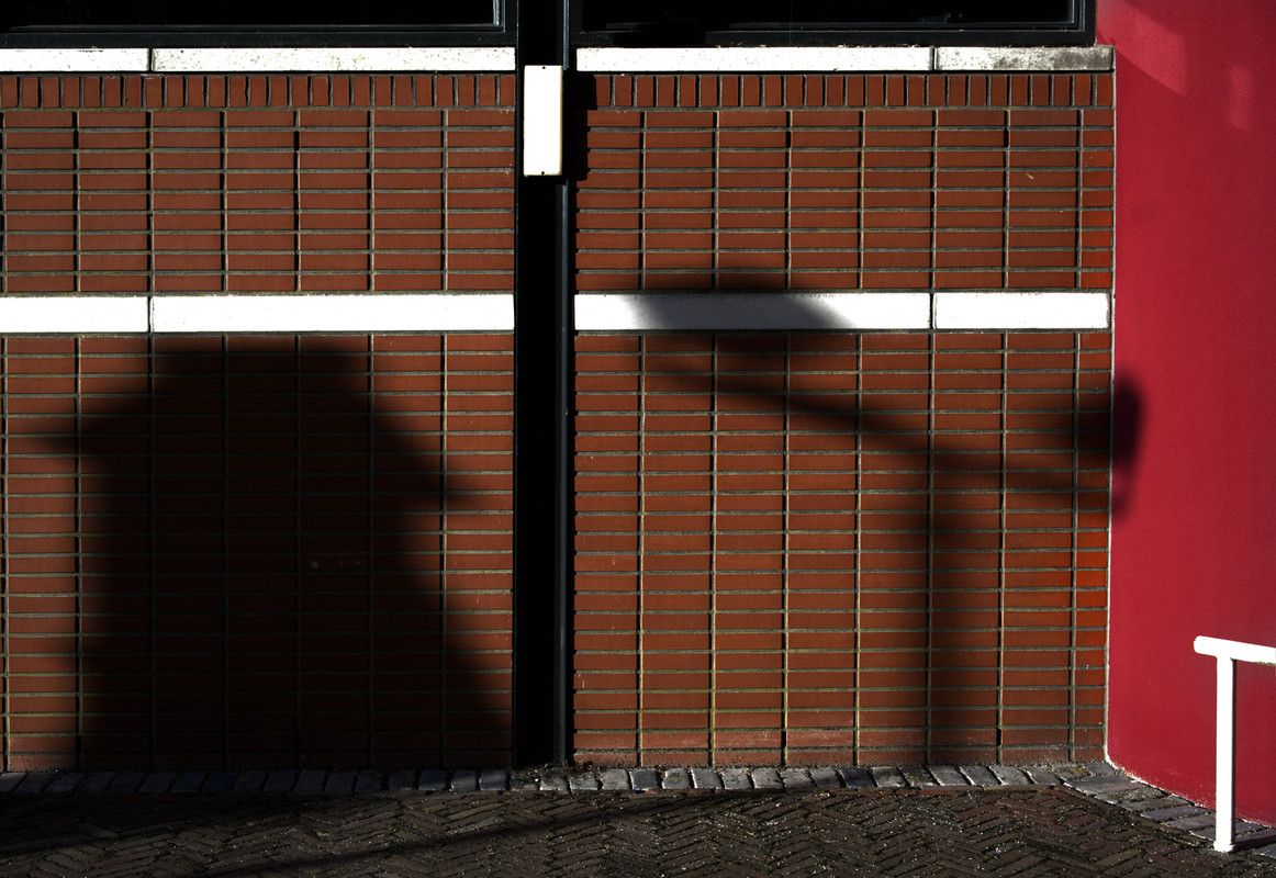 Fotografie