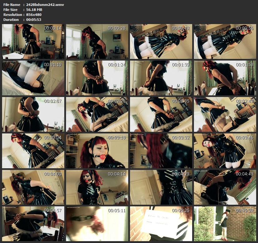 242Bbdsmm242.wmv