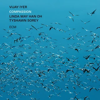 Vijay Iyer Trio • Compassion (2024)    .flac  96.0 kHz/24 bit