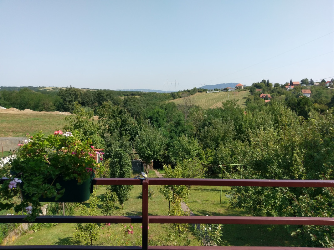 IMAG0027