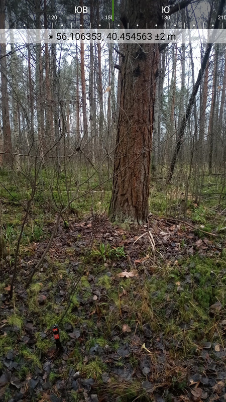 Solocator 07 Nov 2025 19