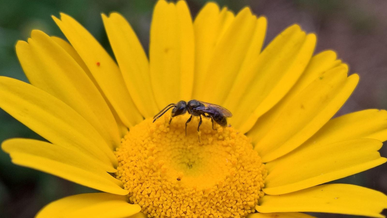 WP_20180605_12_13_20_Pro (2)