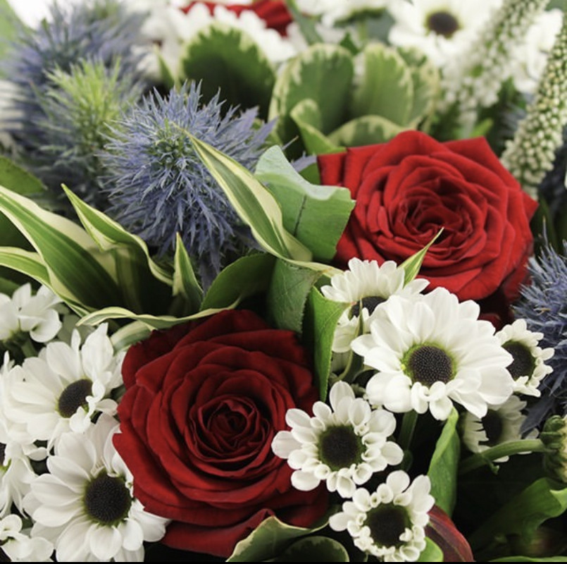 [Image: 26-A5-D638-6-B7-D-47-FE-BA57-D0-E94-D5-B7-F9-B.jpg]