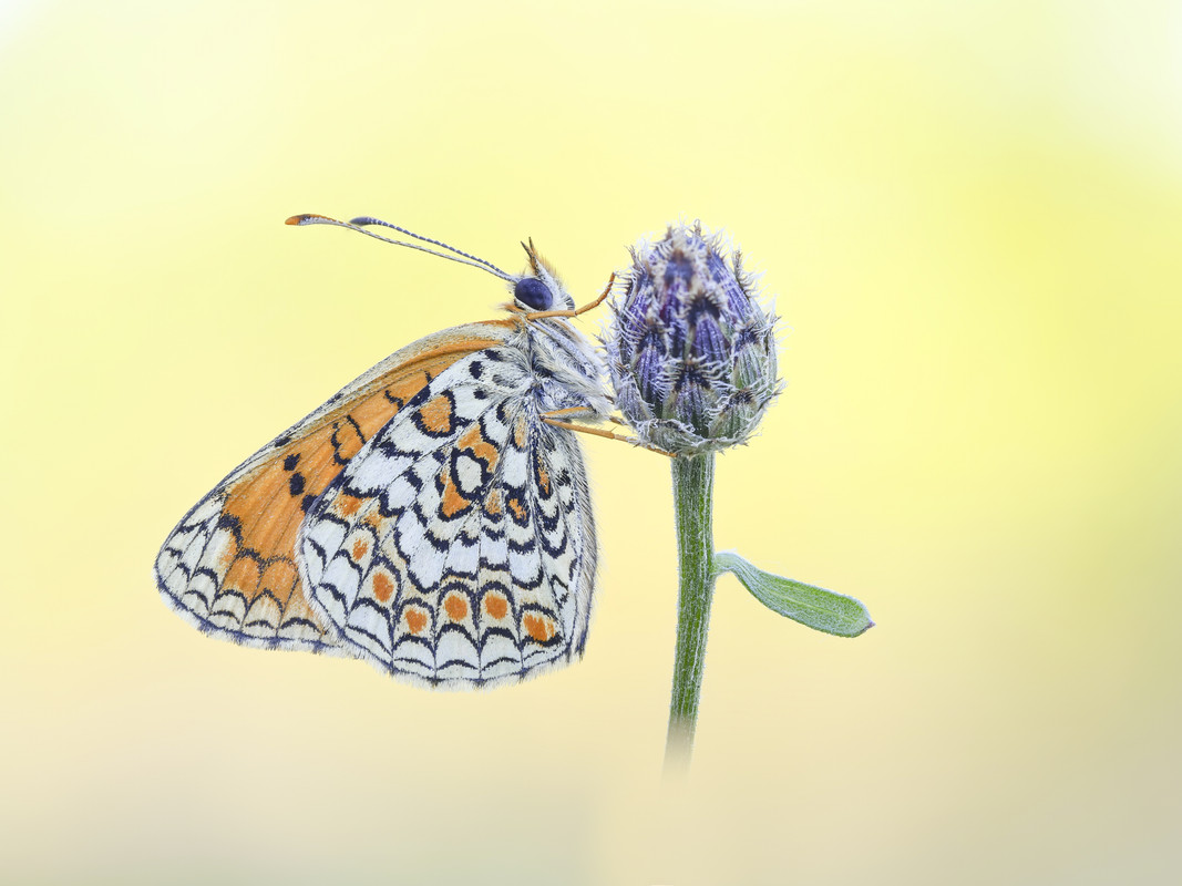 2023-09-27 16-31-42 (A,R7,S5)