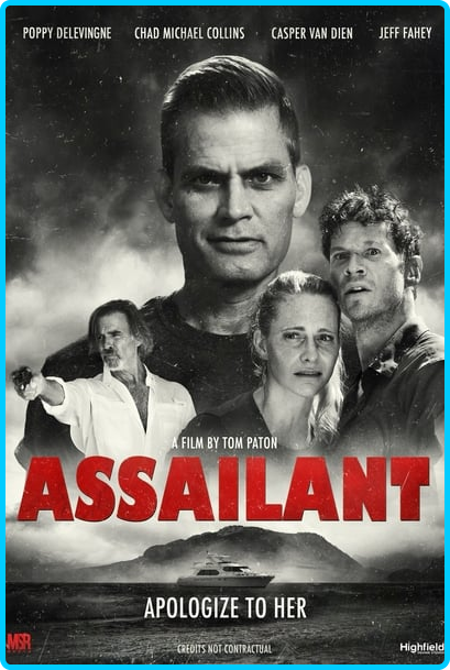 Assailant-2022-720p-WEBRip-800-MB-x264-Galaxy-RGTGx.png
