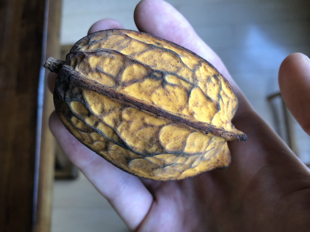 67ADE1D4-74C3-4003-8852-00FB64C04A97