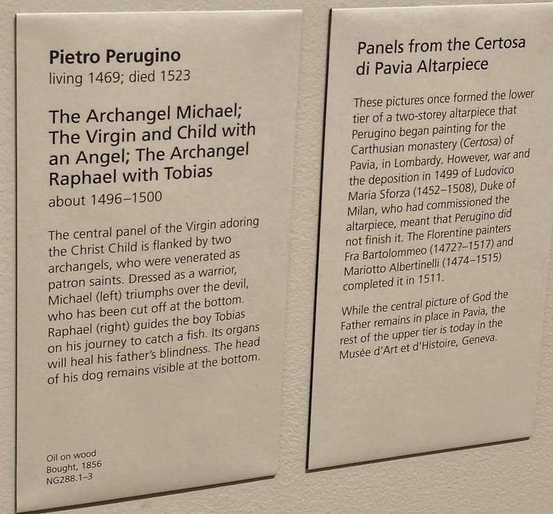 Milán-Turín-Génova-Pavía - Blogs de Italia - Pavía: la famosa batalla y sus torres medievales (71)