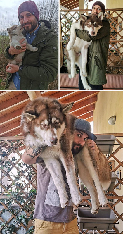 Comparaciones-9